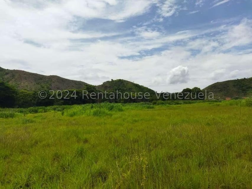Terreno (Comercial) en Venta en El Paseo, Aragua - 5