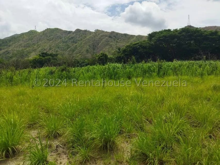 Terreno (Comercial) en Venta en El Paseo, Aragua - 6
