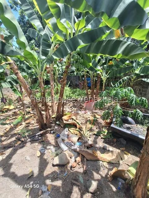 Terreno (Comercial) en Venta en El Carmen, Merida - 6