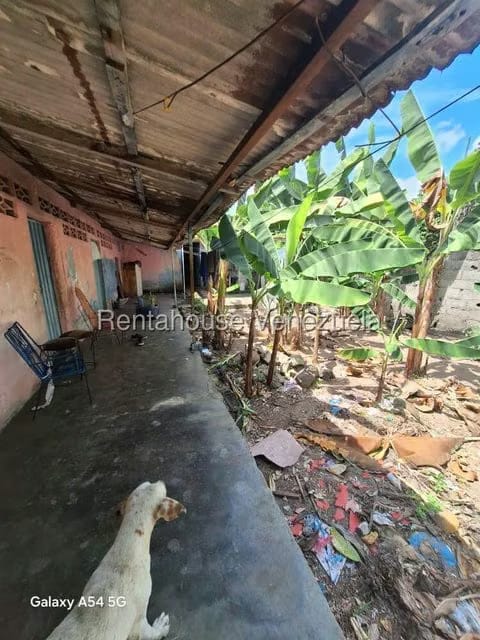 Terreno (Comercial) en Venta en El Carmen, Merida - 7