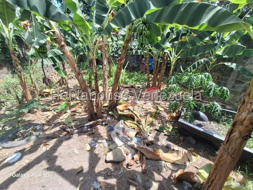 Terreno (Comercial) en Venta en El Carmen, Merida - 8