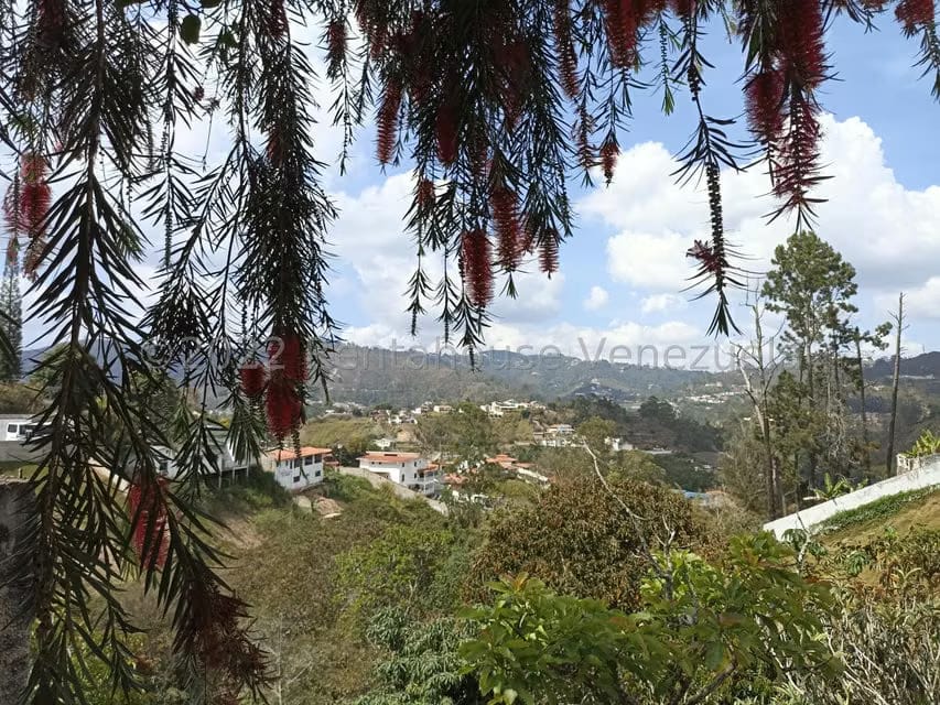 Casa (Multipes Niveles) en Venta en Pan de Azucar, Miranda - 27