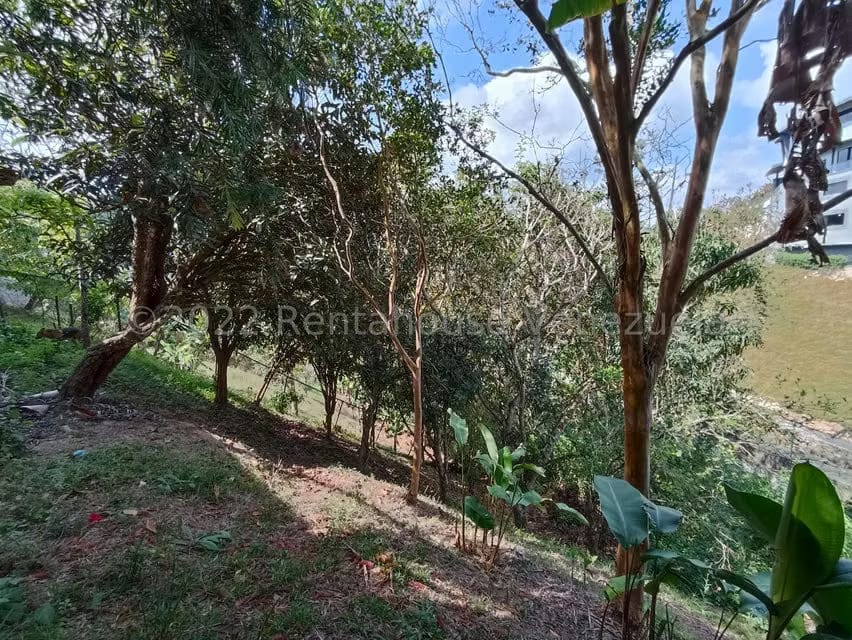 Casa (Multipes Niveles) en Venta en Pan de Azucar, Miranda - 38