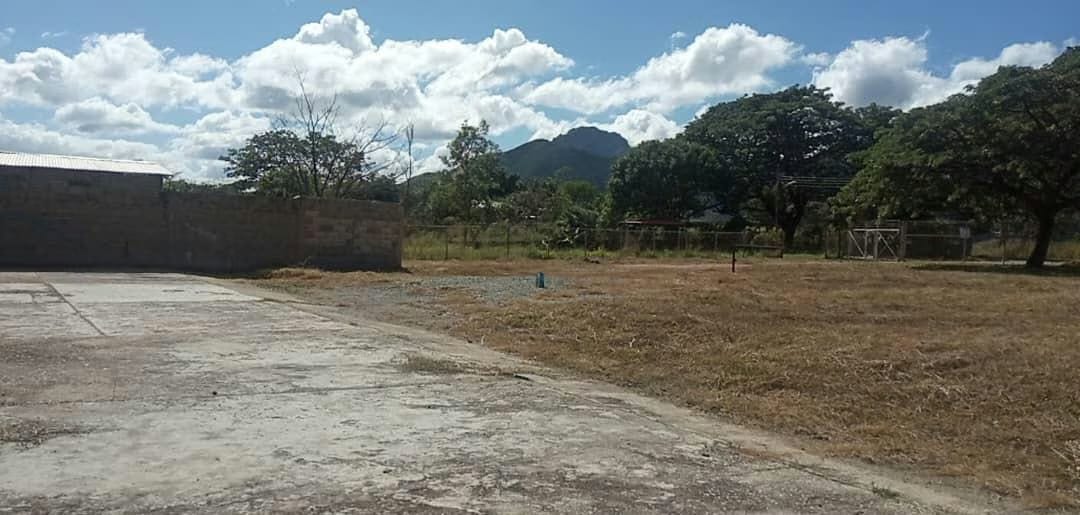 Terreno en Venta - Carretera Nacional San Juan de los Morros - Villa de Cura - Estado Aragua - 3