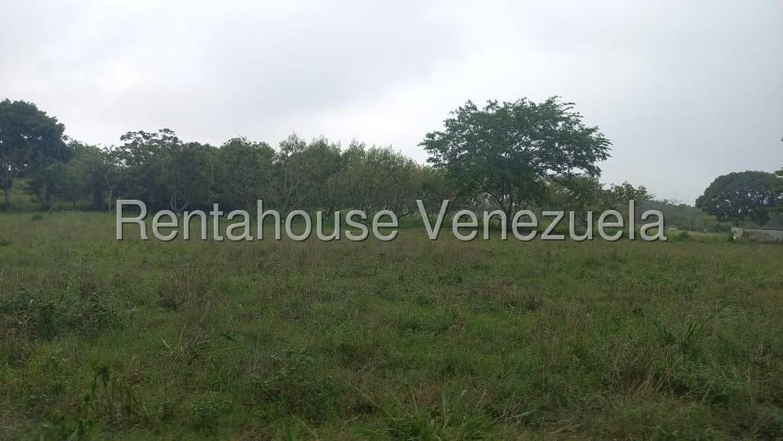 Terreno (Industrial) en Venta en Jose A Paez, Yaracuy