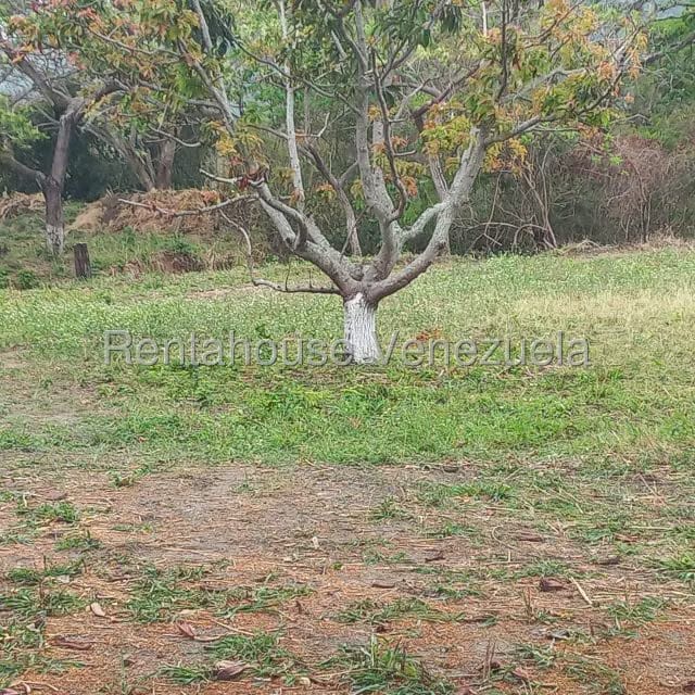 Terreno (Industrial) en Venta en Jose A Paez, Yaracuy - 12