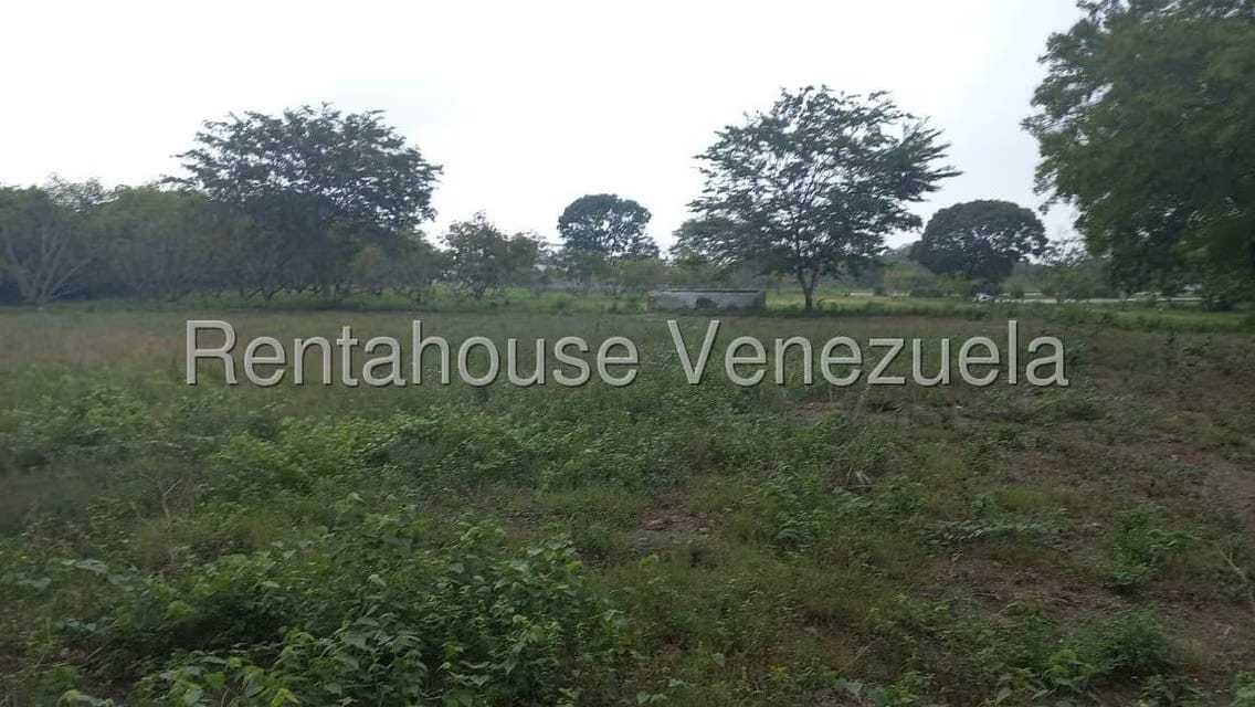 Terreno (Industrial) en Venta en Jose A Paez, Yaracuy - 4