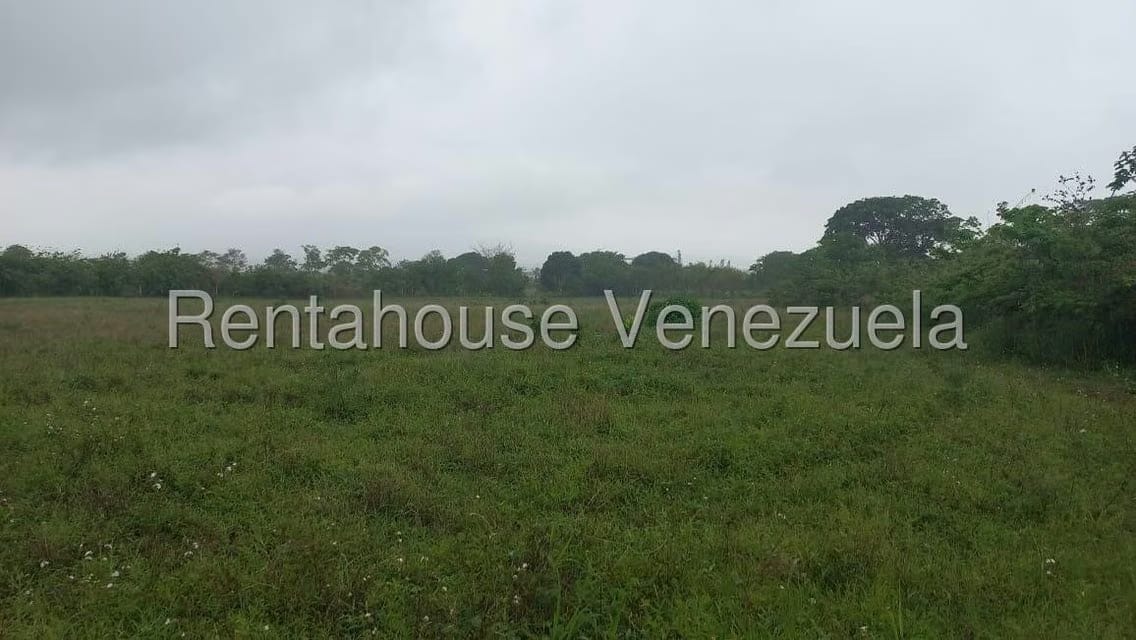 Terreno (Industrial) en Venta en Jose A Paez, Yaracuy - 5