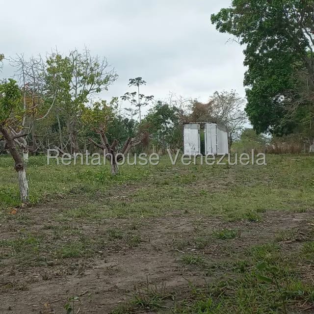 Terreno (Industrial) en Venta en Jose A Paez, Yaracuy - 7
