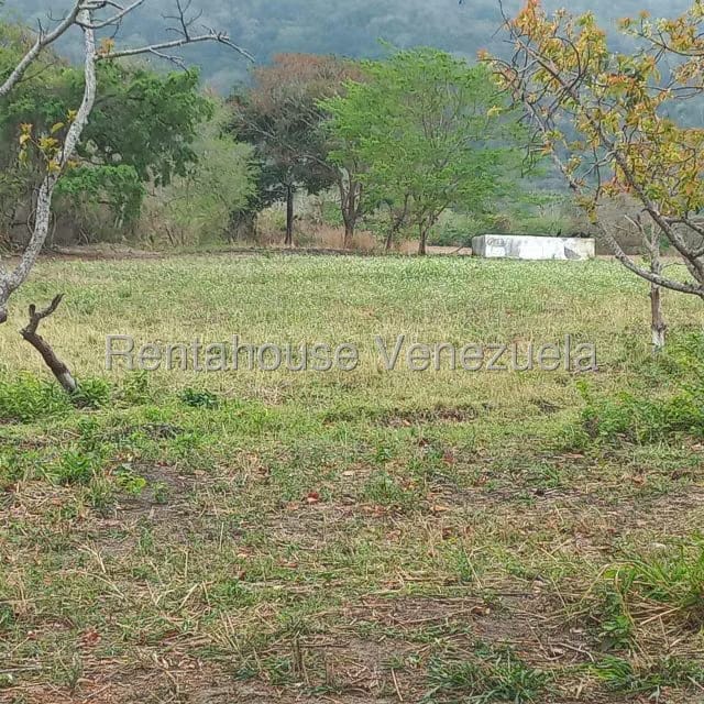 Terreno (Industrial) en Venta en Jose A Paez, Yaracuy - 9