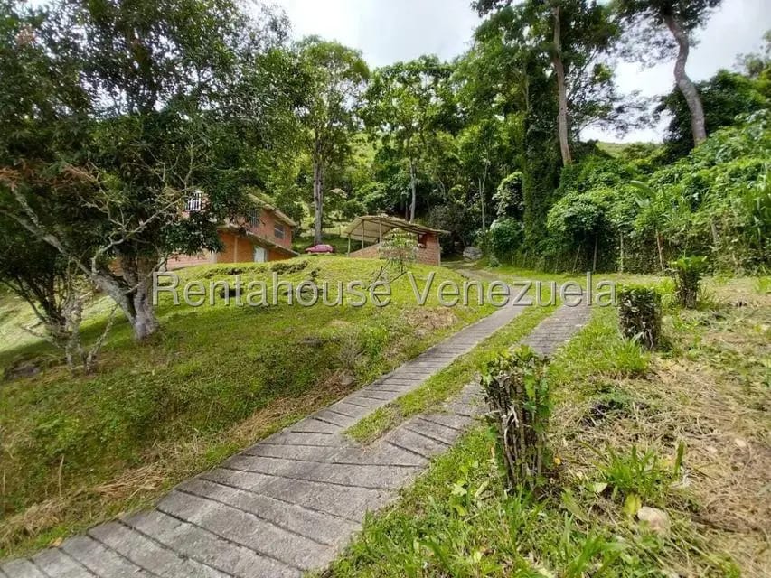 Casa (Casas de Campo) en Venta en Parcelamiento El Prado, Miranda - 18