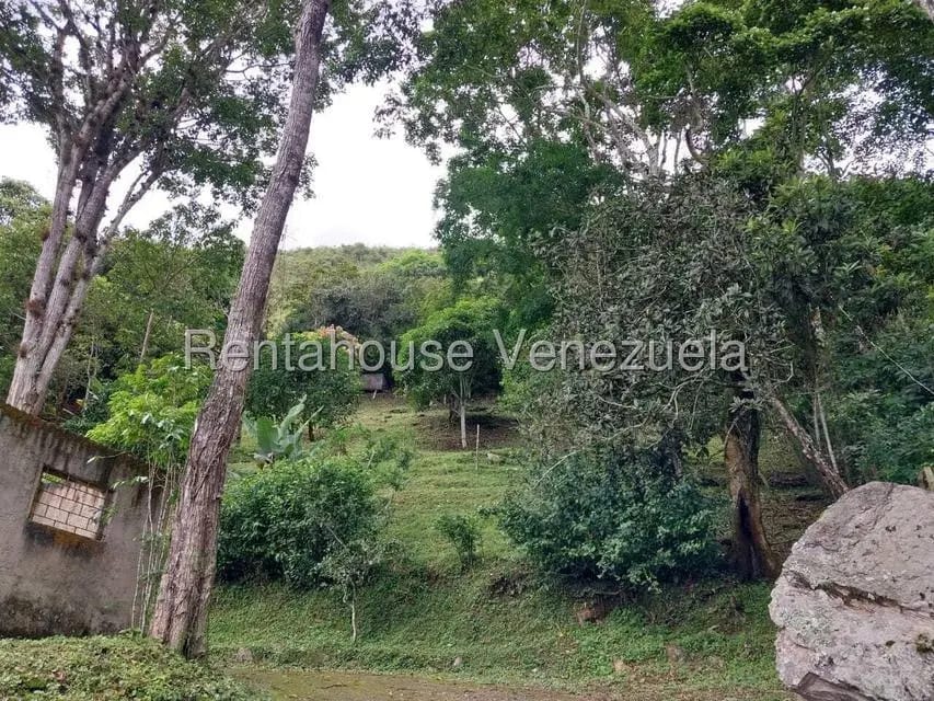 Casa (Casas de Campo) en Venta en Parcelamiento El Prado, Miranda - 23