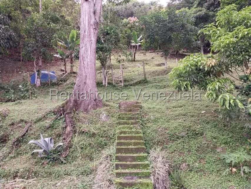 Casa (Casas de Campo) en Venta en Parcelamiento El Prado, Miranda - 27