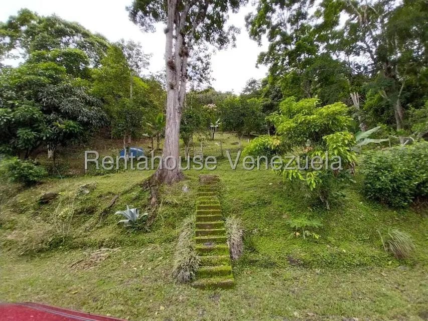 Casa (Casas de Campo) en Venta en Parcelamiento El Prado, Miranda - 29