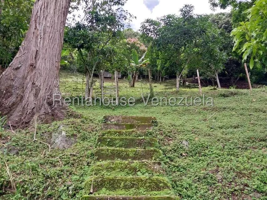 Casa (Casas de Campo) en Venta en Parcelamiento El Prado, Miranda - 31