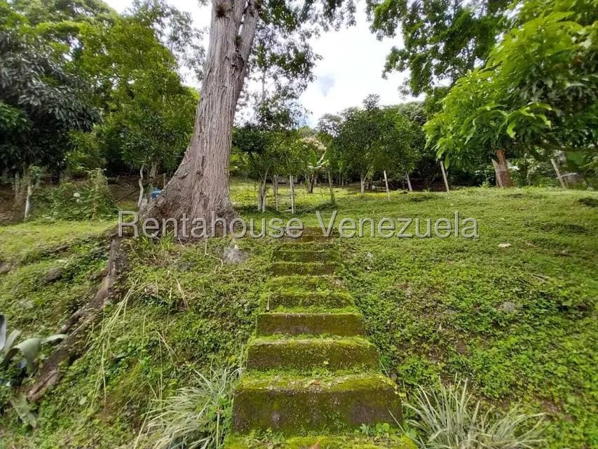 Casa (Casas de Campo) en Venta en Parcelamiento El Prado, Miranda - 32