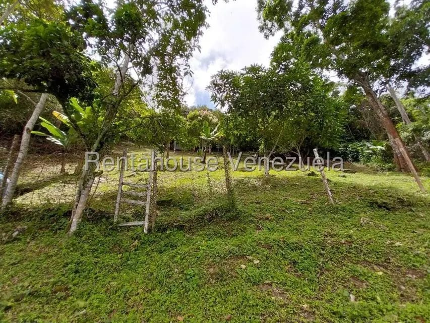 Casa (Casas de Campo) en Venta en Parcelamiento El Prado, Miranda - 34