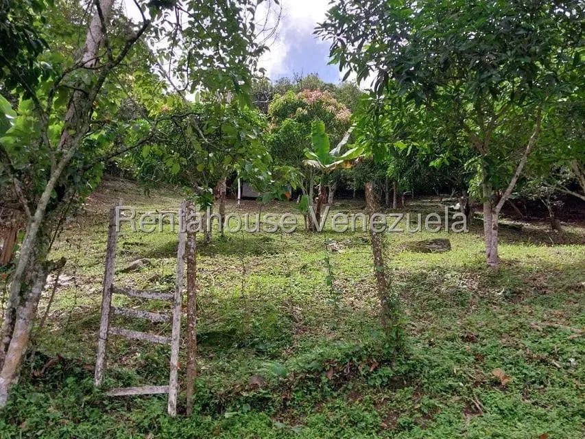 Casa (Casas de Campo) en Venta en Parcelamiento El Prado, Miranda - 35