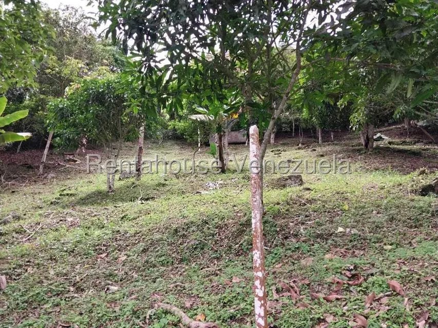 Casa (Casas de Campo) en Venta en Parcelamiento El Prado, Miranda - 38