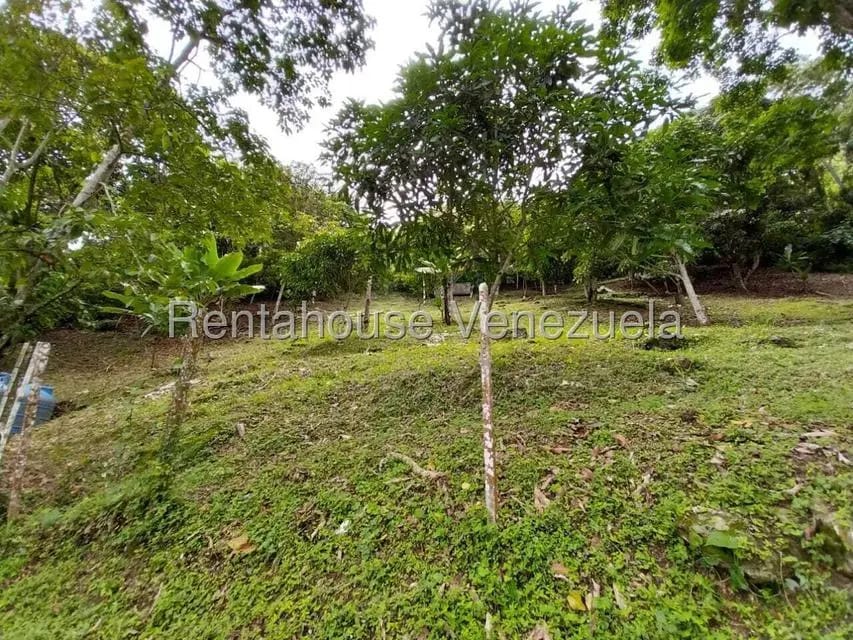 Casa (Casas de Campo) en Venta en Parcelamiento El Prado, Miranda - 39