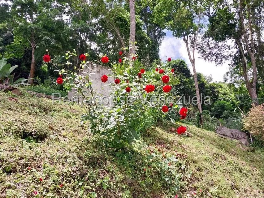 Casa (Casas de Campo) en Venta en Parcelamiento El Prado, Miranda - 5