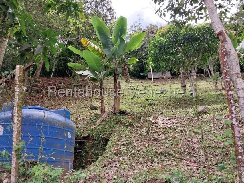 Casa (Casas de Campo) en Venta en Parcelamiento El Prado, Miranda - 43