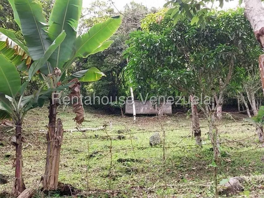 Casa (Casas de Campo) en Venta en Parcelamiento El Prado, Miranda - 44