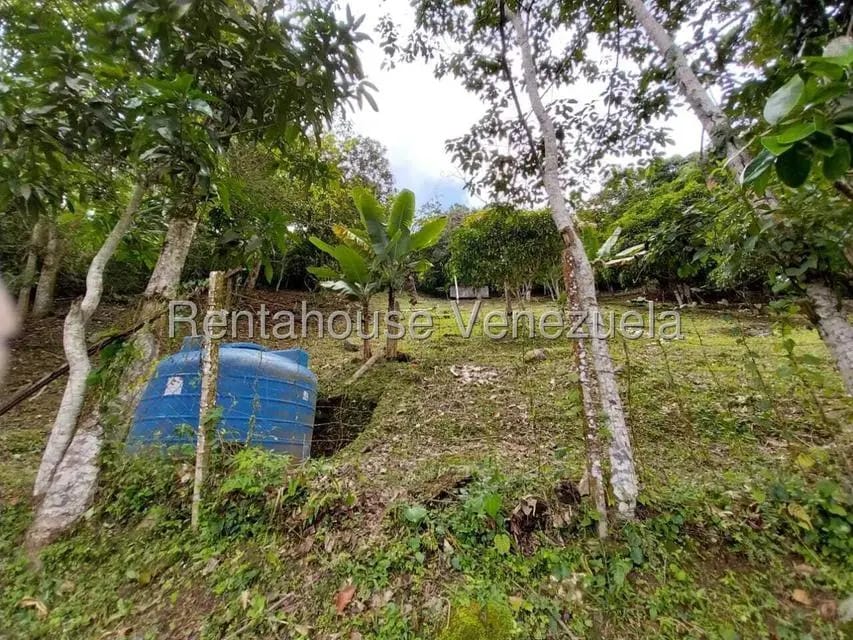 Casa (Casas de Campo) en Venta en Parcelamiento El Prado, Miranda - 46