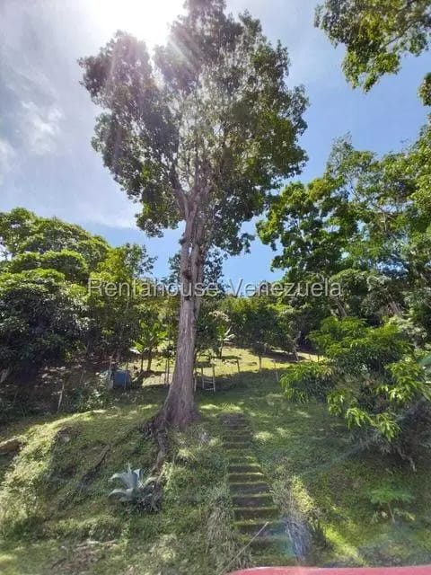 Casa (Casas de Campo) en Venta en Parcelamiento El Prado, Miranda - 53