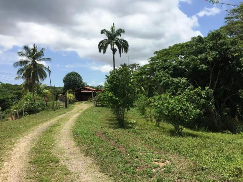 Terreno (Finca) en Venta en Prado Mar, Falcon