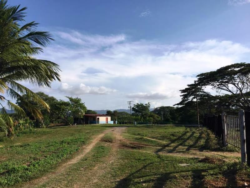 Terreno (Finca) en Venta en Prado Mar, Falcon - 3