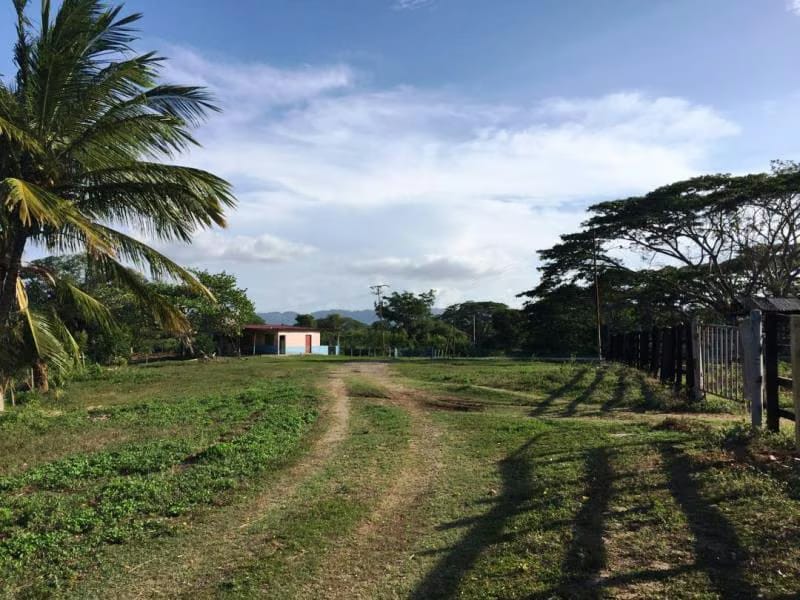 Terreno (Finca) en Venta en Prado Mar, Falcon - 4