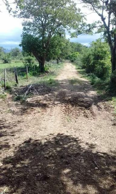 Terreno (Finca) en Venta en Prado Mar, Falcon - 5