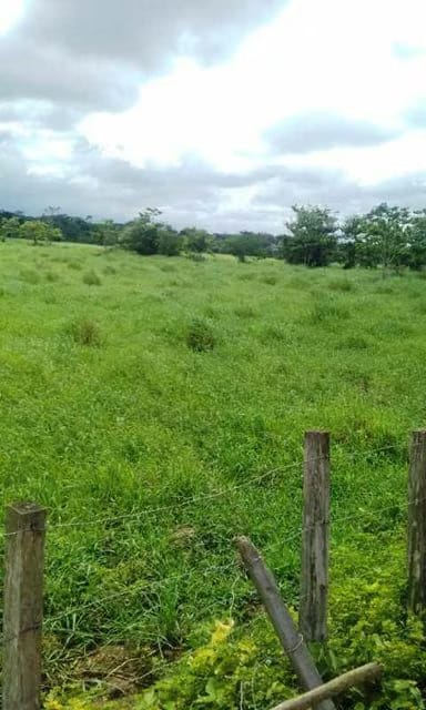 Terreno (Finca) en Venta en Prado Mar, Falcon - 6