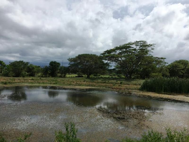 Terreno (Finca) en Venta en Prado Mar, Falcon - 7
