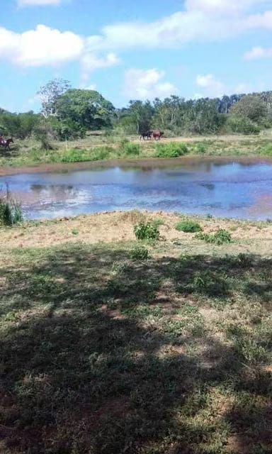 Terreno (Finca) en Venta en Prado Mar, Falcon - 9