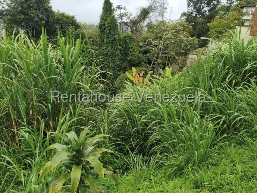 Terreno (Residencial) en Venta en Parque el Retiro, Miranda - 2