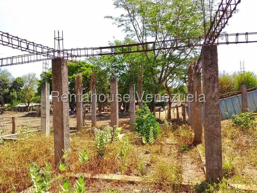 Terreno (Comercial) en Venta en Dora Balza, Guarico - 2
