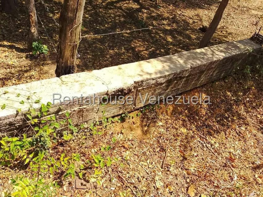 Terreno (Comercial) en Venta en Dora Balza, Guarico - 5
