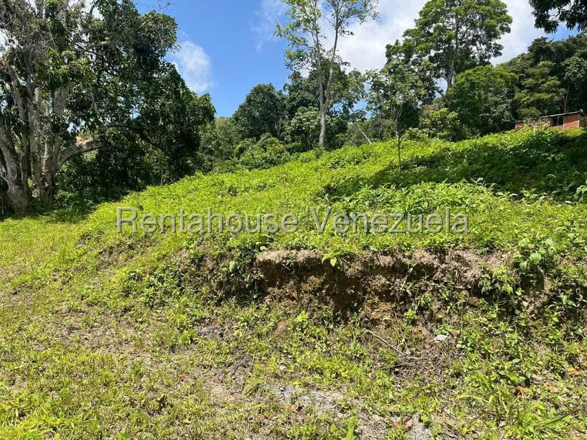 Terreno (Comercial) en Venta en Gavilan, Distrito Metropolitano