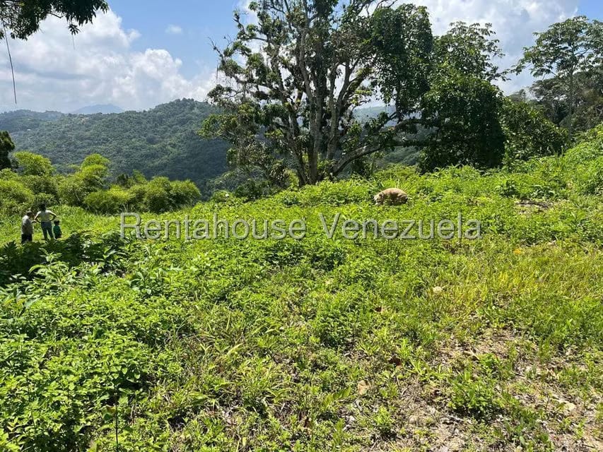 Terreno (Comercial) en Venta en Gavilan, Distrito Metropolitano - 2
