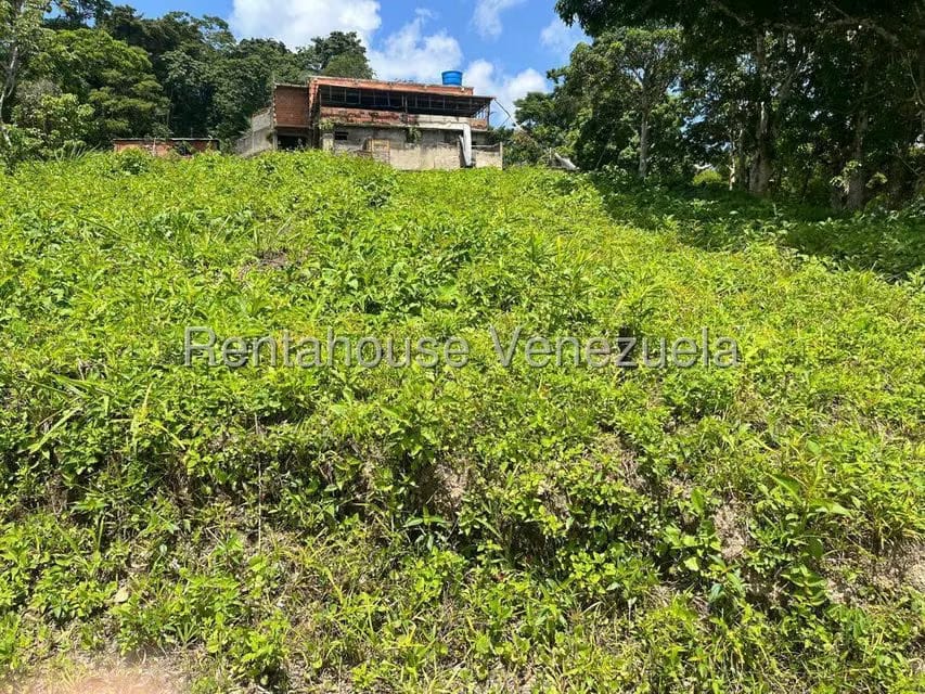Terreno (Comercial) en Venta en Gavilan, Distrito Metropolitano - 3