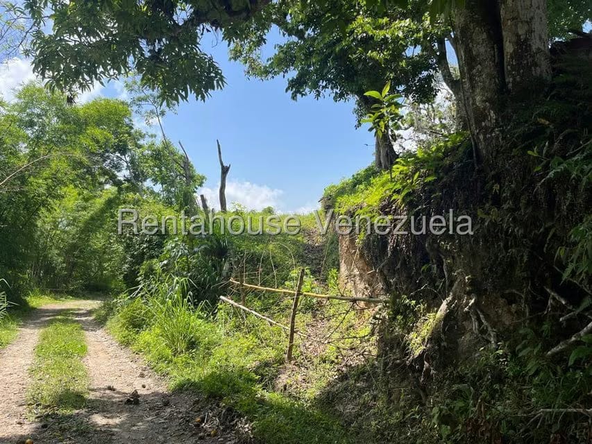 Terreno (Comercial) en Venta en Gavilan, Distrito Metropolitano - 5