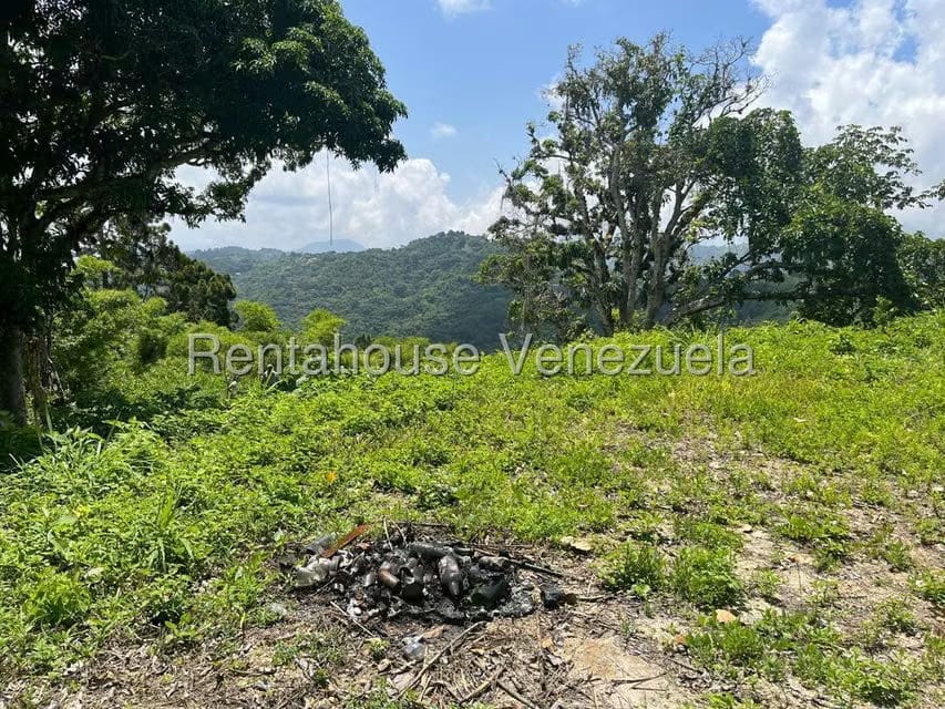 Terreno (Comercial) en Venta en Gavilan, Distrito Metropolitano - 6