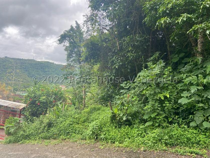 Terreno (Residencial) en Venta en Tusmare, Distrito Metropolitano