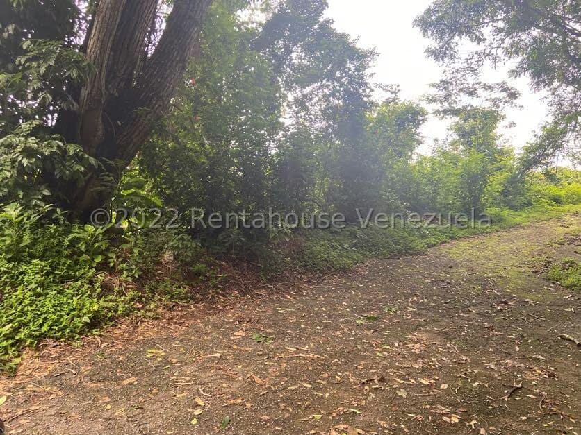 Terreno (Residencial) en Venta en Tusmare, Distrito Metropolitano - 4