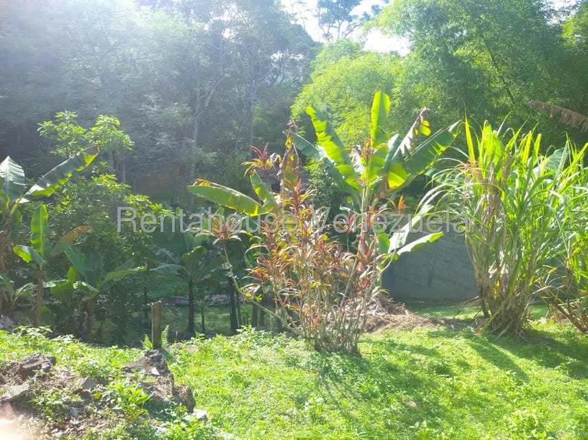 Casa (Casas de Campo) en Venta en Parcelamiento Cortada del guayabo, Miranda - 26