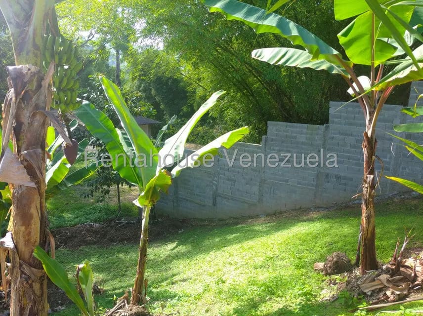 Casa (Casas de Campo) en Venta en Parcelamiento Cortada del guayabo, Miranda - 31