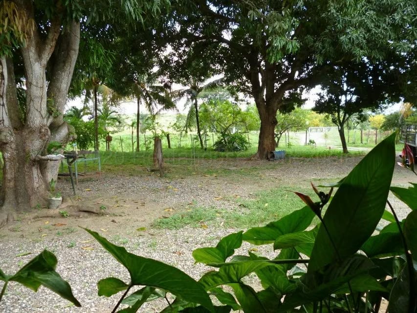 Terreno (Comercial) en Venta en Centro, Portuguesa - 17