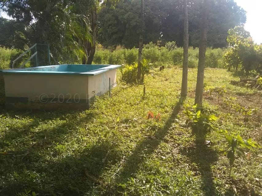 Terreno (Comercial) en Venta en Centro, Portuguesa - 20